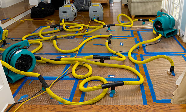Professional Basement Flood Cleanup technician working in Spruce Head, ME